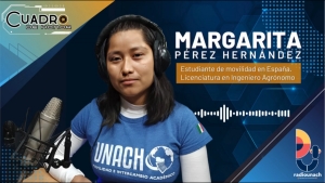Cuadro de Honor: Margarita Pérez Hernández